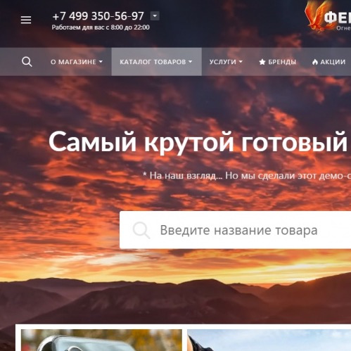 Конструктор интернет-магазинов ФЕНИКС